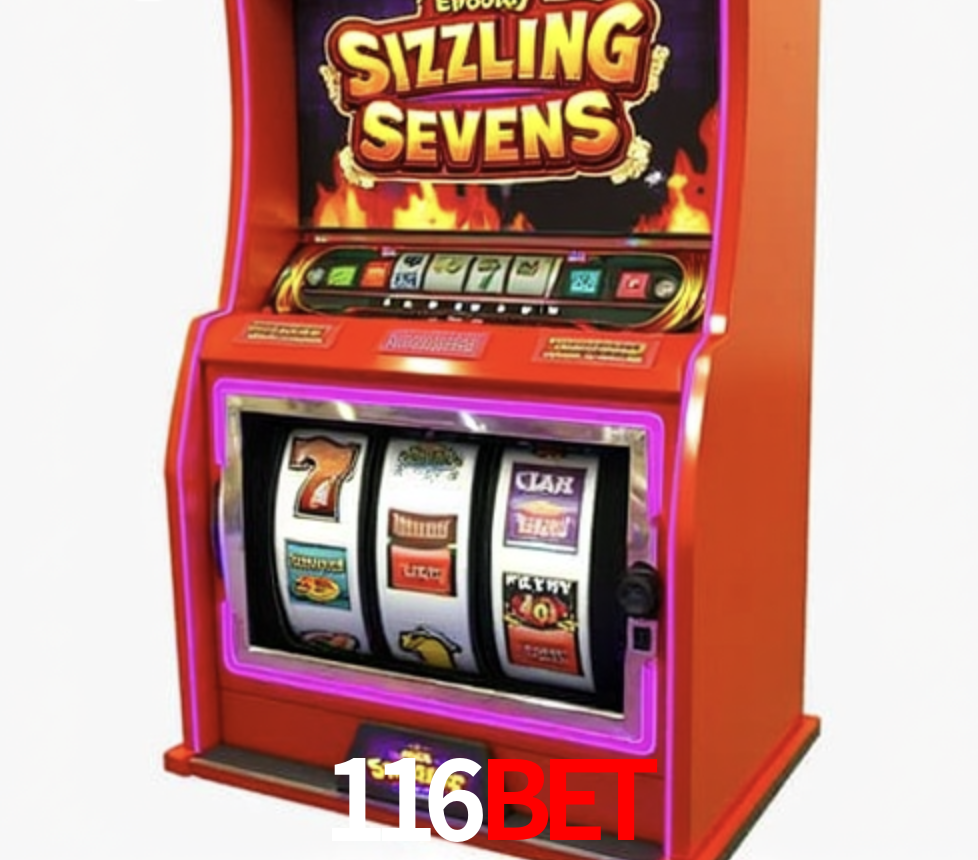 Security Systems 116BET